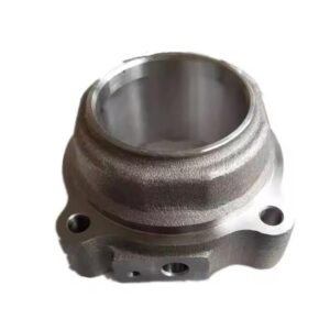 BF-T-853023/42421-0K030